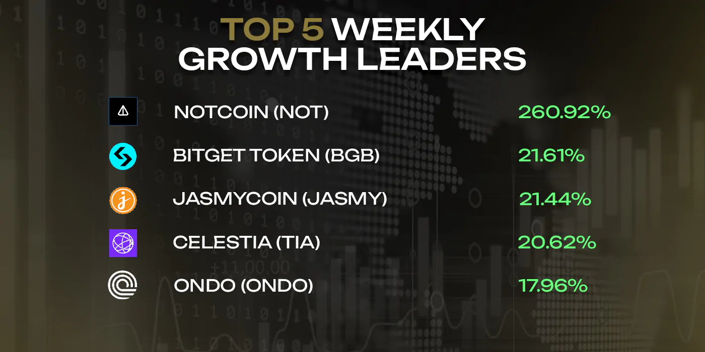 Top 5 weekly growth leaders