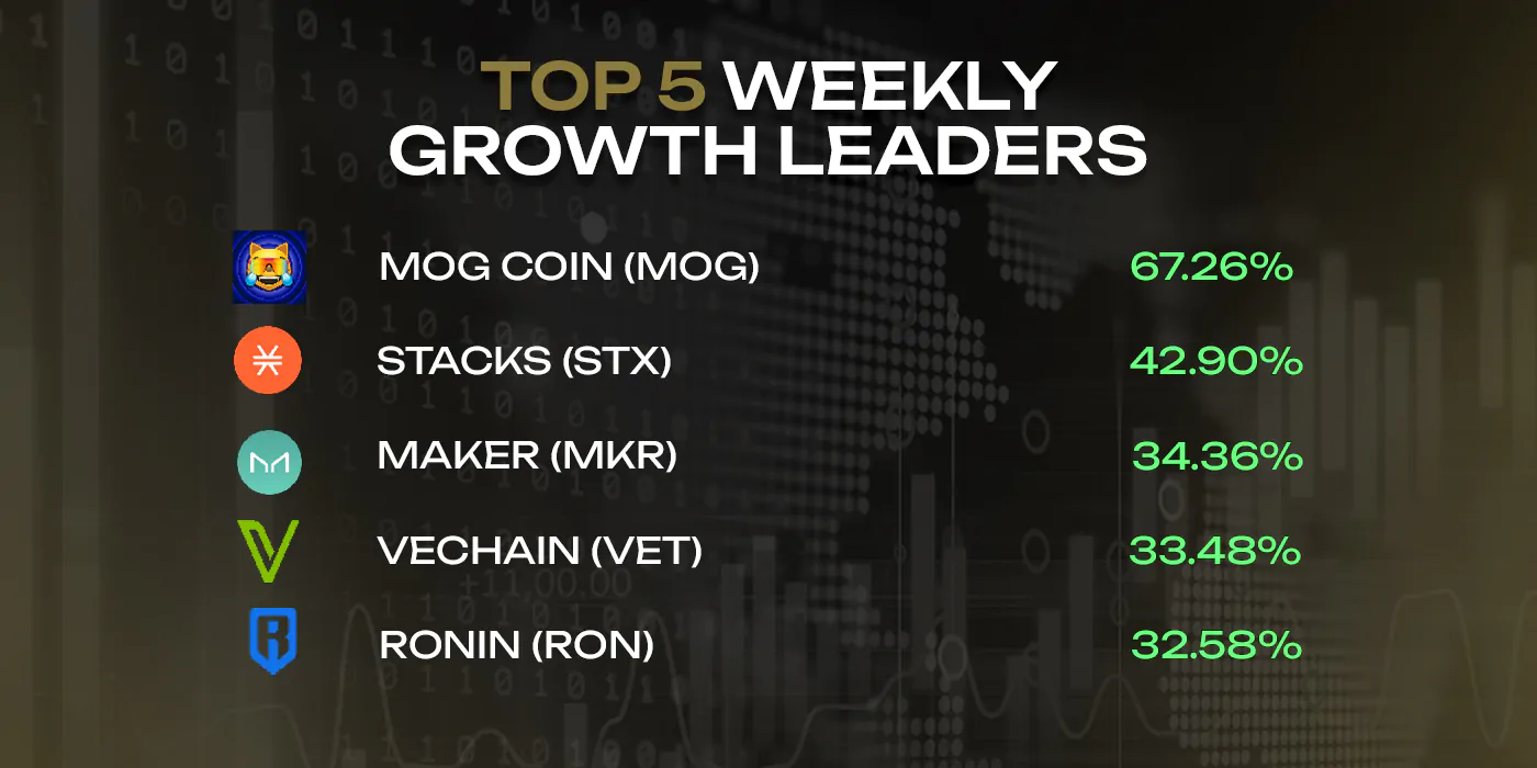 Top 5 weekly growth leaders