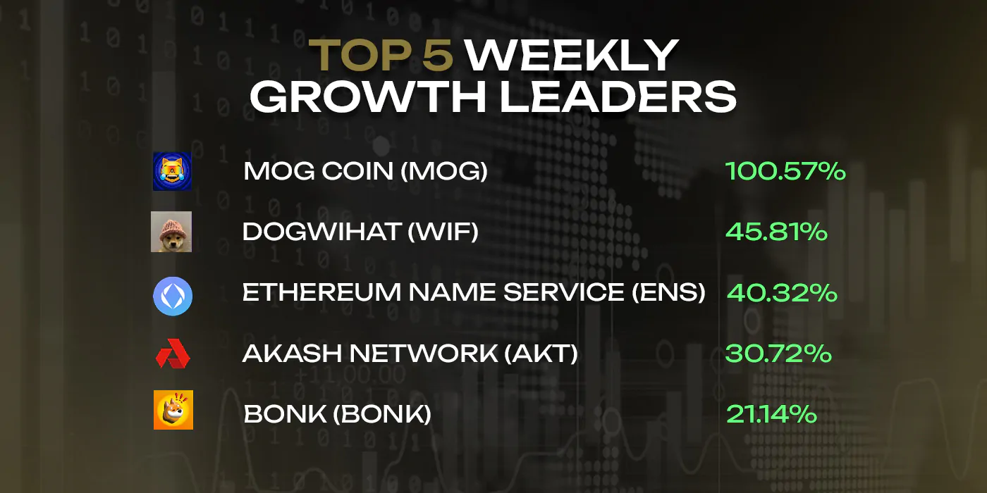 TOP 5 WEEKLY GROWTH LEADERS