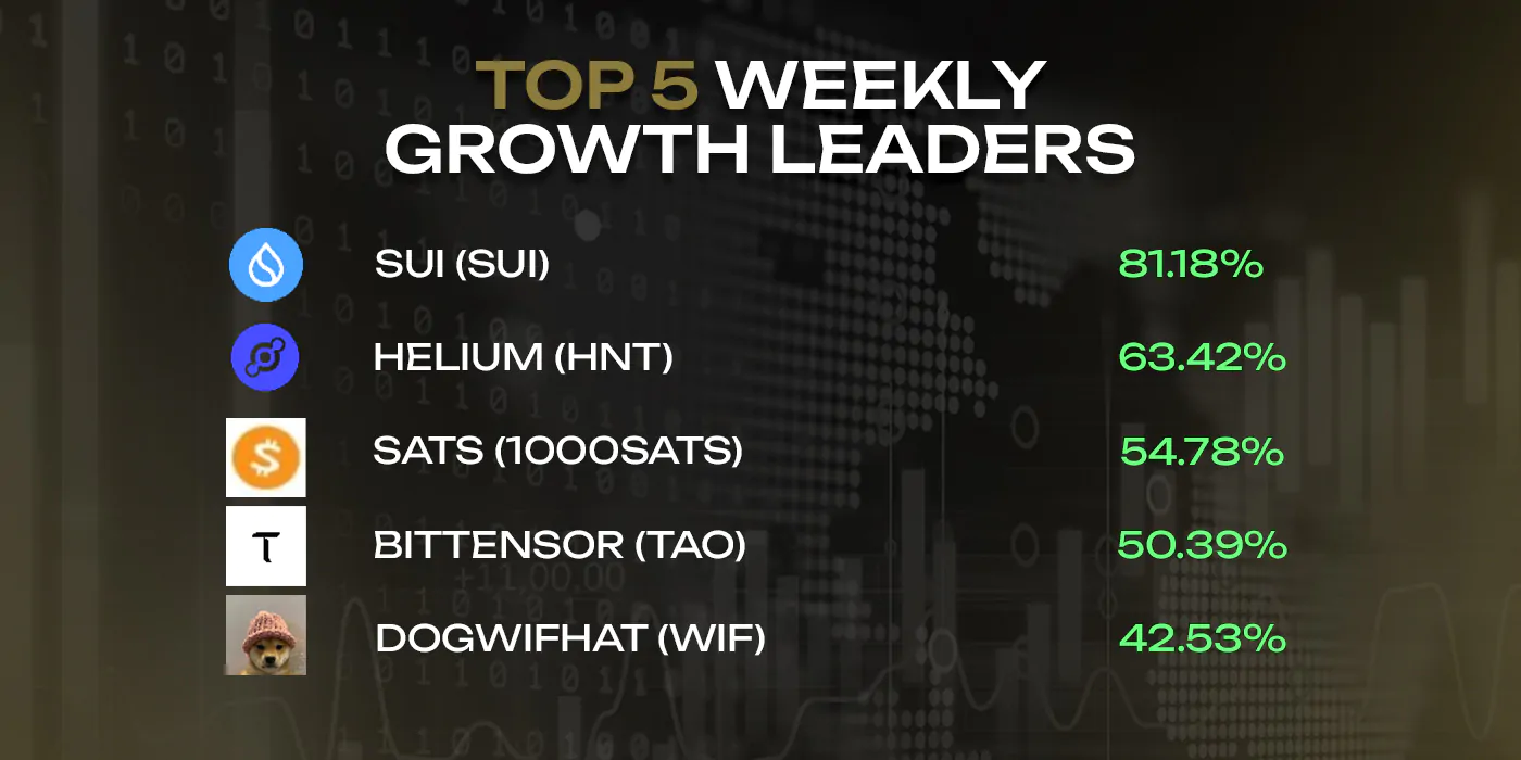 Top-5 weekly growth leaders