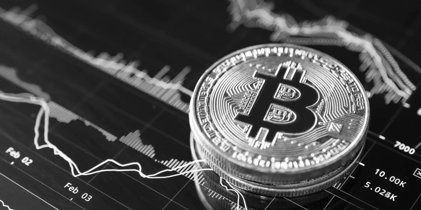 Why crypto investors choose bitcoin