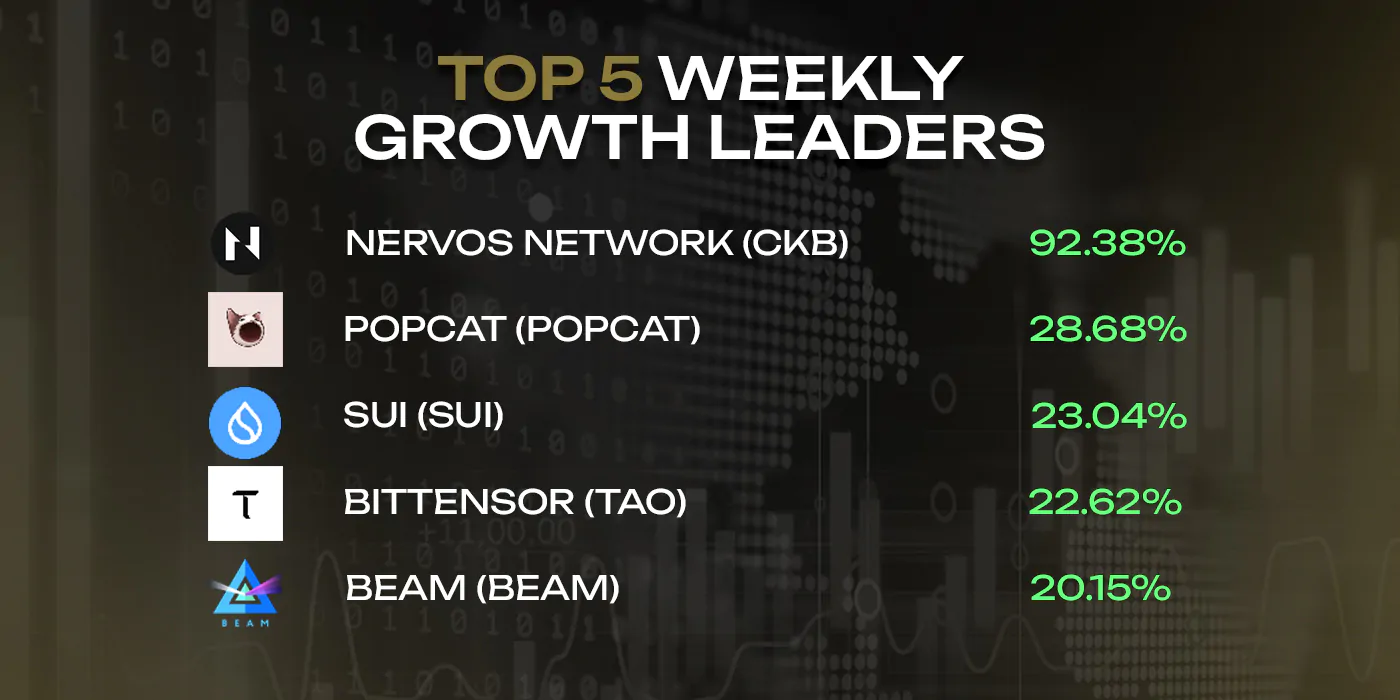 Top 5 weekly growth leaders