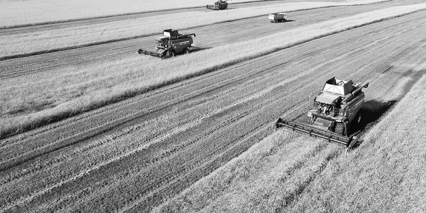 Why Tether invests in agriculture