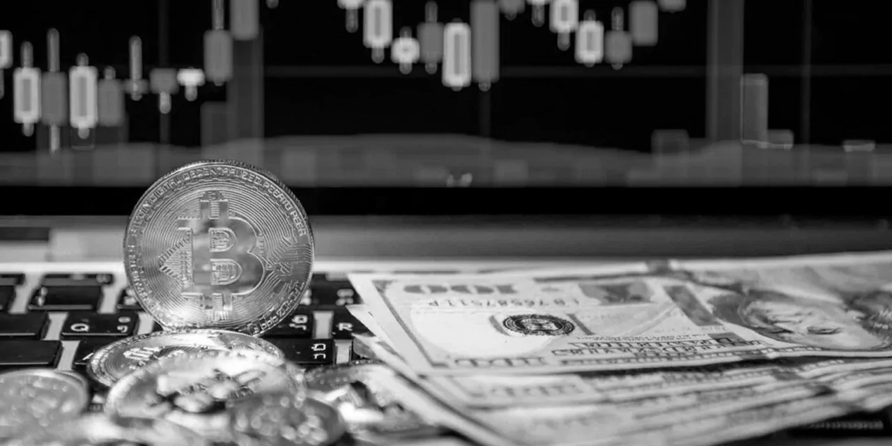 Cryptocurrency or shares